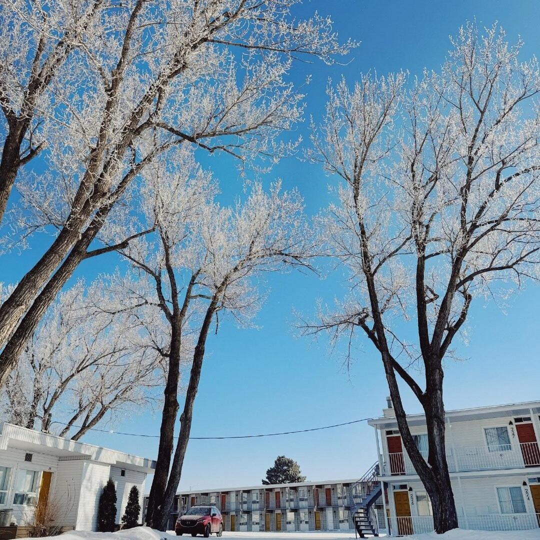 Auberge Le Parasol Saguenay Bagian luar foto